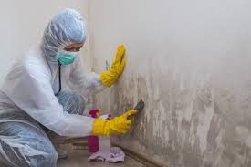 Mold Remediation for Rental Properties in California, MO